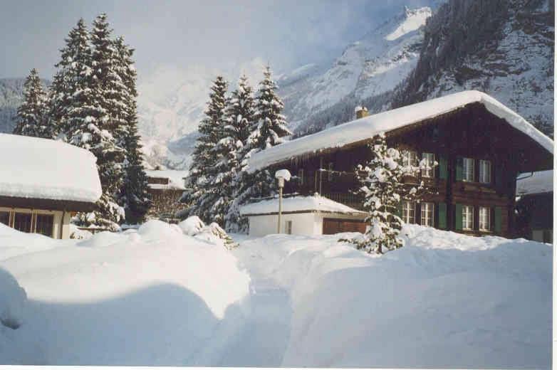 Familienferien Im Chalet Baergli Kandersteg Exterior photo
