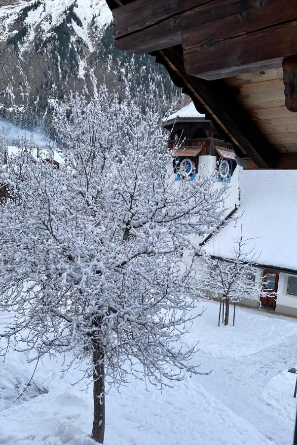 Familienferien Im Chalet Baergli Kandersteg Exterior photo